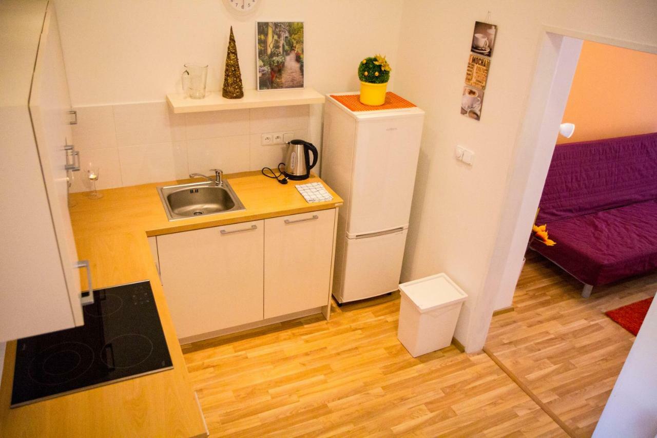 Lidicka Apartment Πράγα Εξωτερικό φωτογραφία